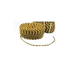g[v