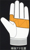 XL[`sIVbvf@CN-323@@̕⋭Aet
